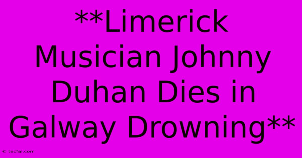 **Limerick Musician Johnny Duhan Dies In Galway Drowning**