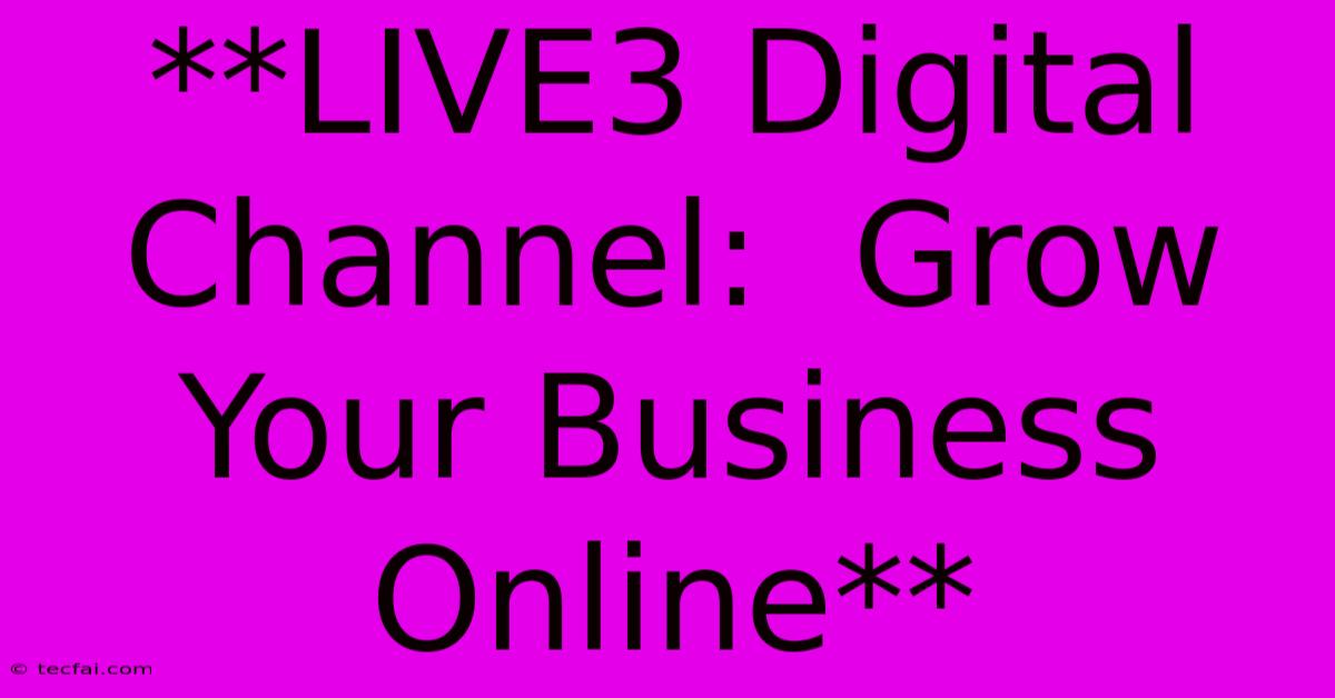 **LIVE3 Digital Channel:  Grow Your Business Online**