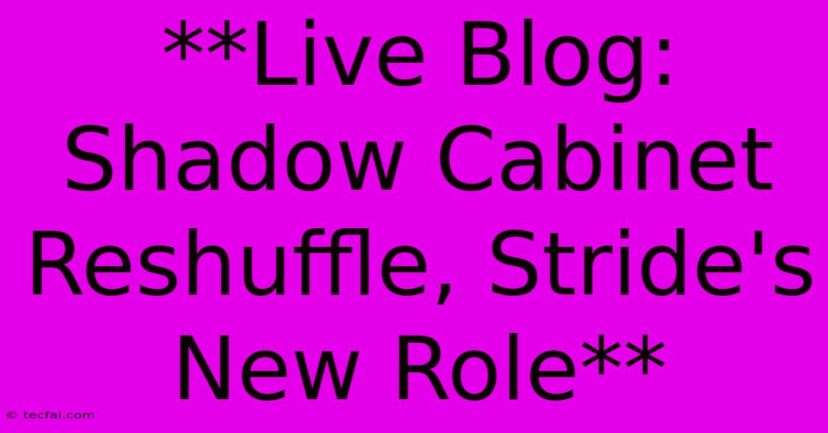 **Live Blog: Shadow Cabinet Reshuffle, Stride's New Role** 