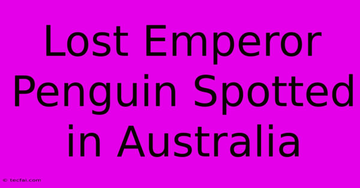 Lost Emperor Penguin Spotted In Australia