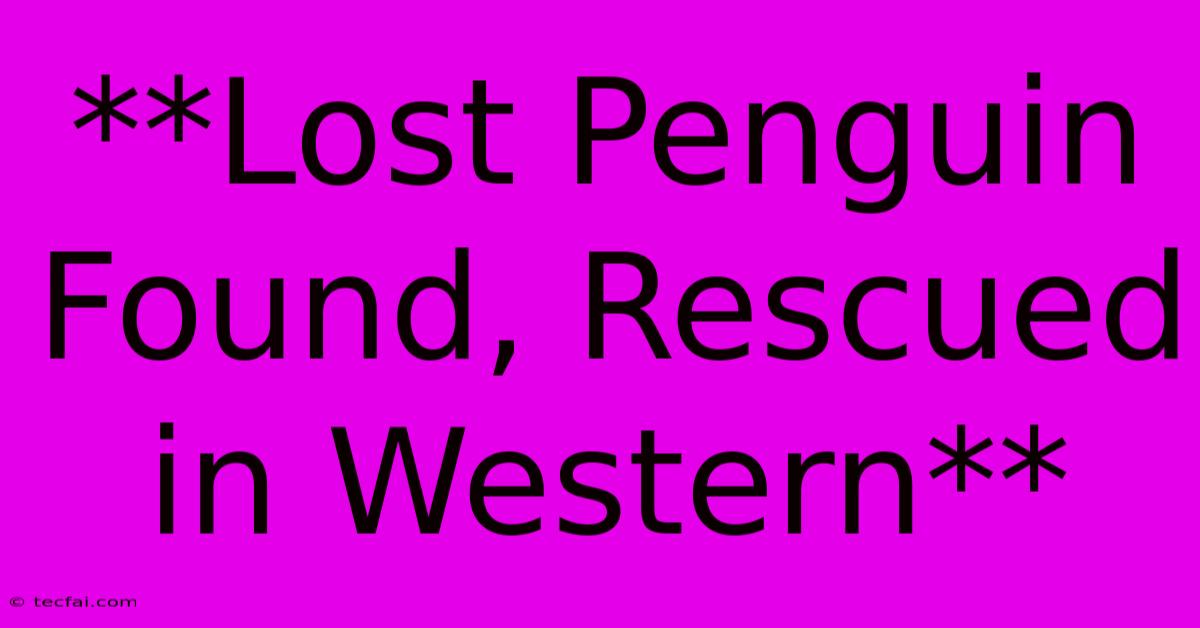 **Lost Penguin Found, Rescued In Western**