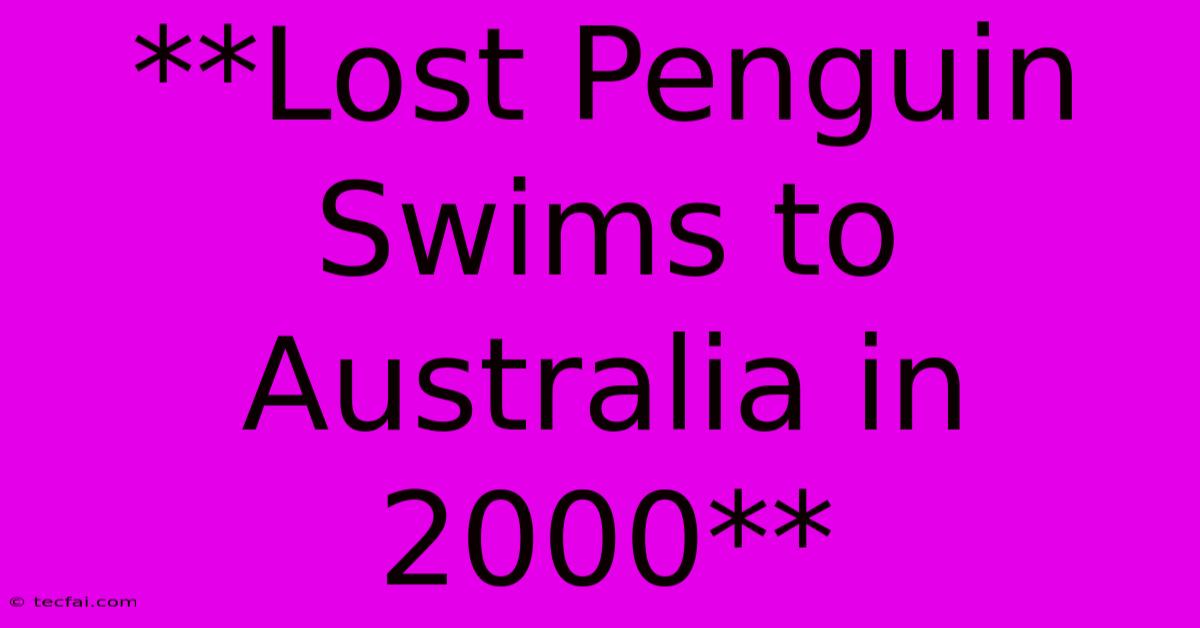 **Lost Penguin Swims To Australia In 2000**