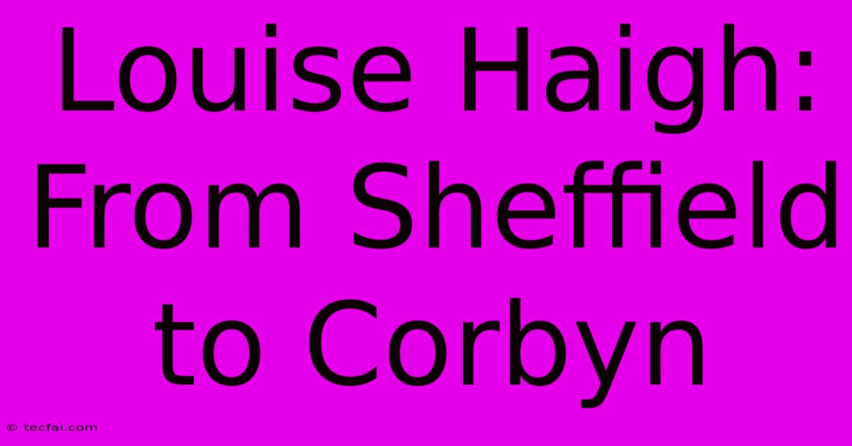 Louise Haigh: From Sheffield To Corbyn