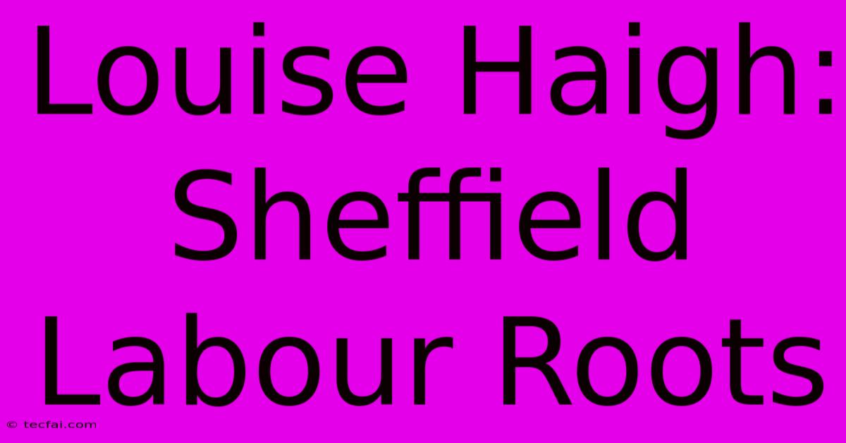 Louise Haigh: Sheffield Labour Roots