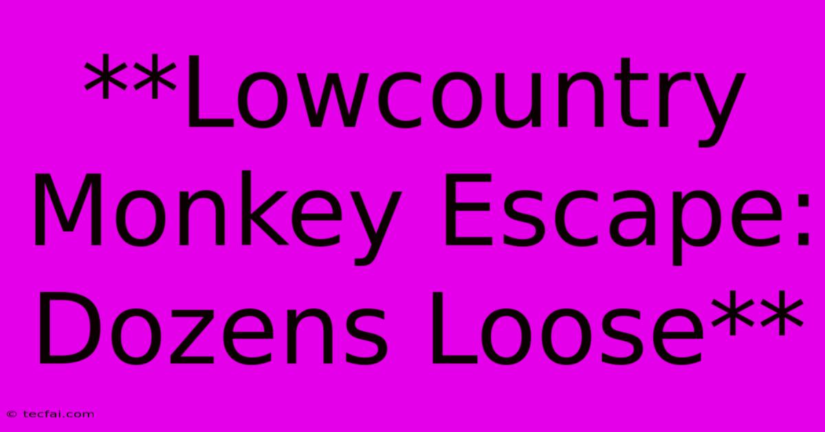 **Lowcountry Monkey Escape: Dozens Loose**