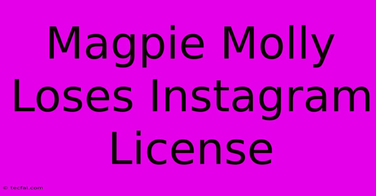 Magpie Molly Loses Instagram License