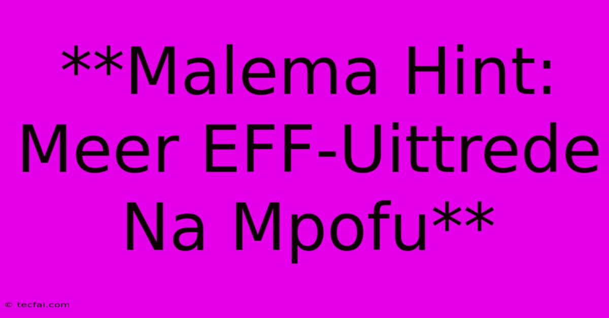 **Malema Hint: Meer EFF-Uittrede Na Mpofu**