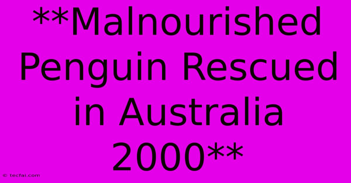 **Malnourished Penguin Rescued In Australia 2000**