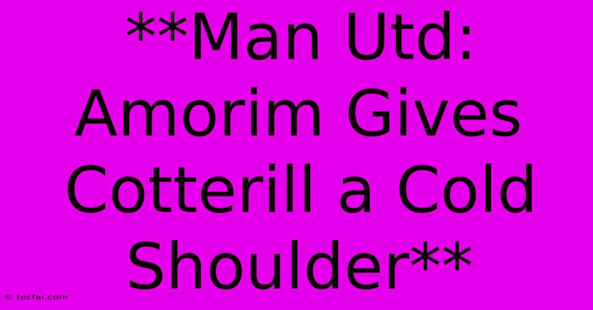 **Man Utd: Amorim Gives Cotterill A Cold Shoulder** 