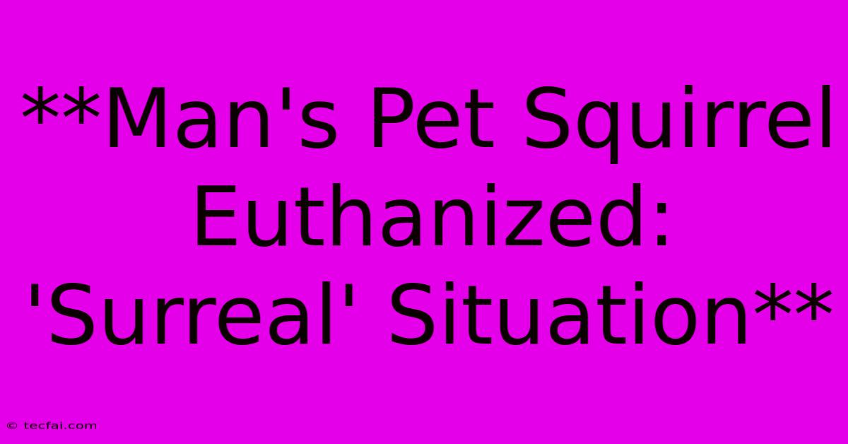 **Man's Pet Squirrel Euthanized: 'Surreal' Situation** 