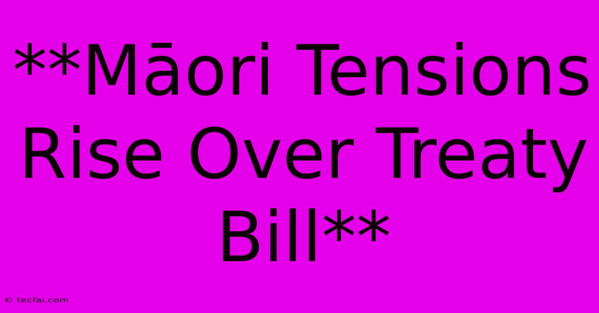 **Māori Tensions Rise Over Treaty Bill**