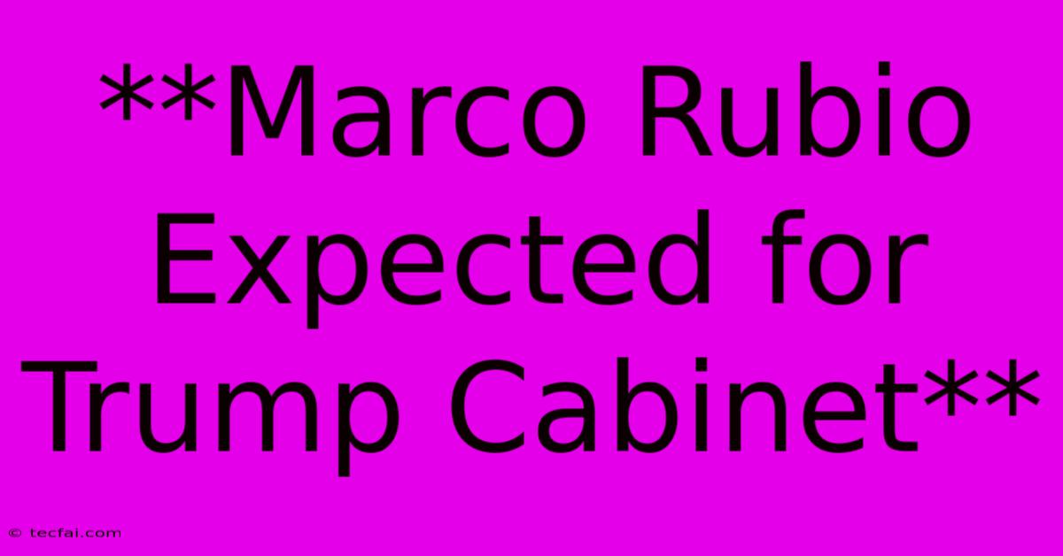 **Marco Rubio Expected For Trump Cabinet**