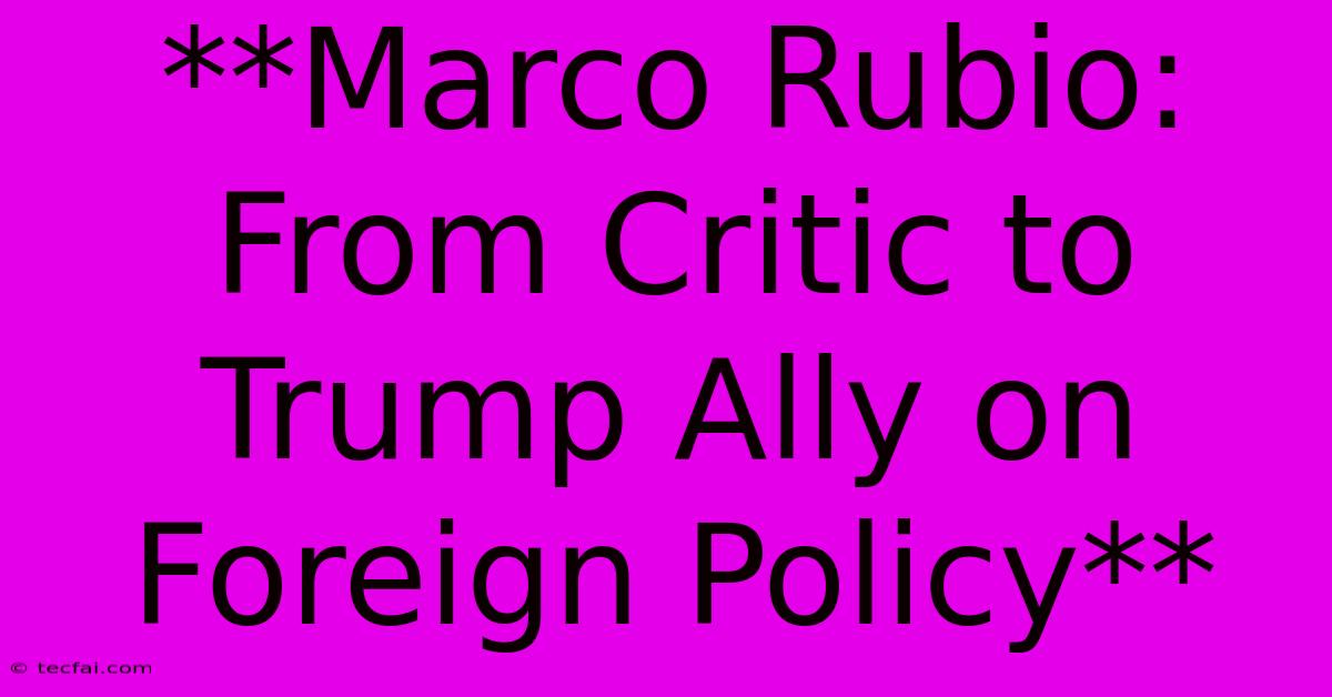 **Marco Rubio: From Critic To Trump Ally On Foreign Policy**