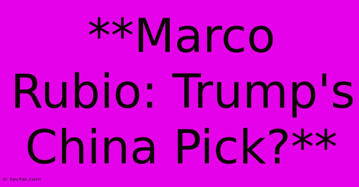 **Marco Rubio: Trump's China Pick?**