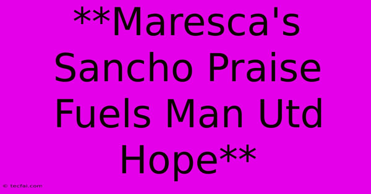 **Maresca's Sancho Praise Fuels Man Utd Hope**