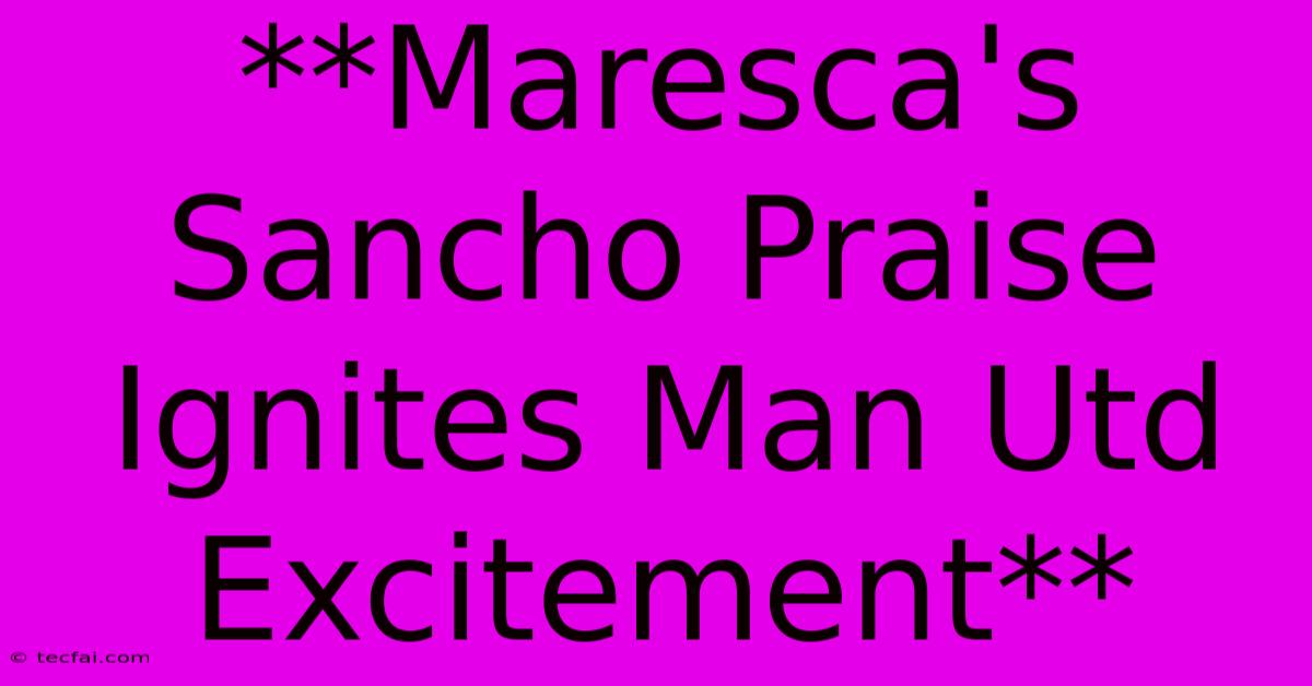 **Maresca's Sancho Praise Ignites Man Utd Excitement**