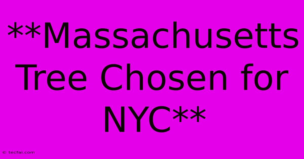 **Massachusetts Tree Chosen For NYC**