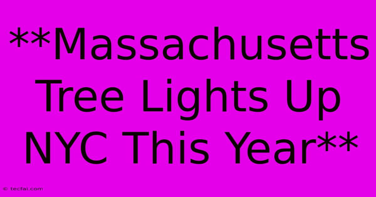 **Massachusetts Tree Lights Up NYC This Year** 