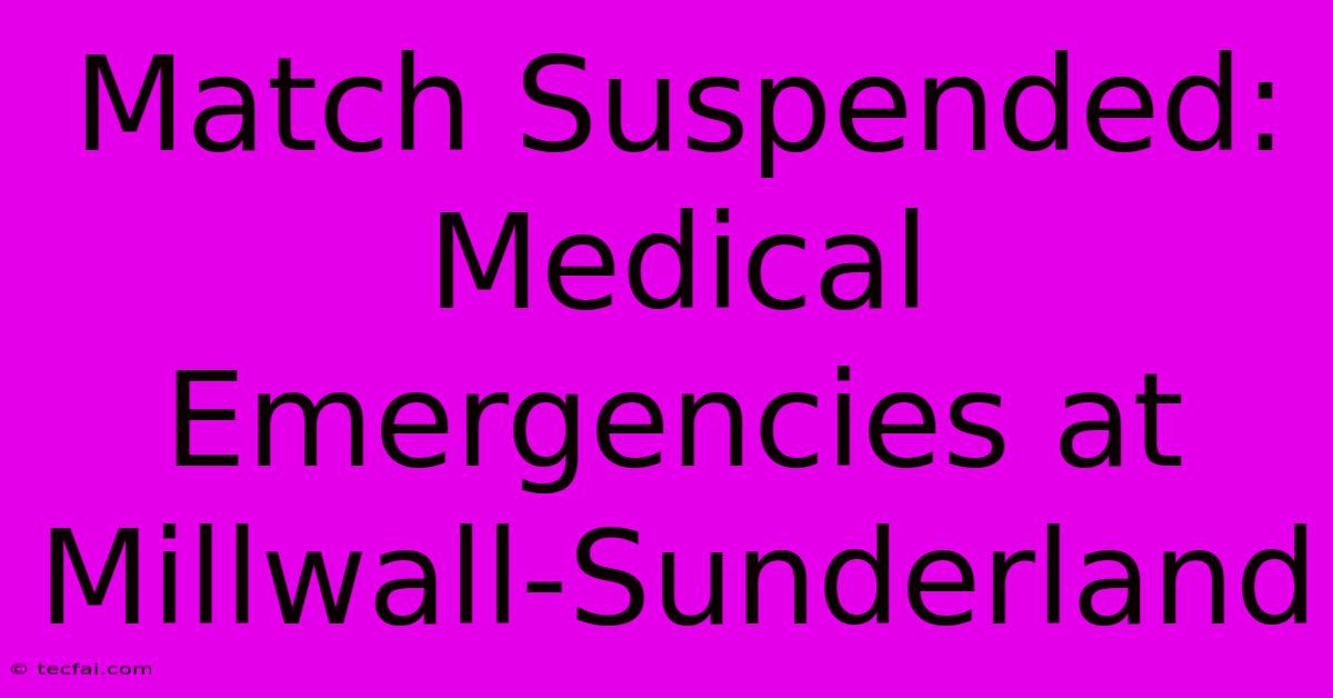 Match Suspended: Medical Emergencies At Millwall-Sunderland