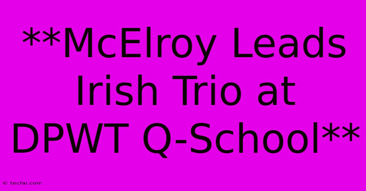 **McElroy Leads Irish Trio At DPWT Q-School**