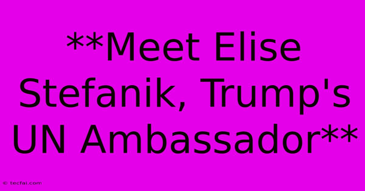 **Meet Elise Stefanik, Trump's UN Ambassador**