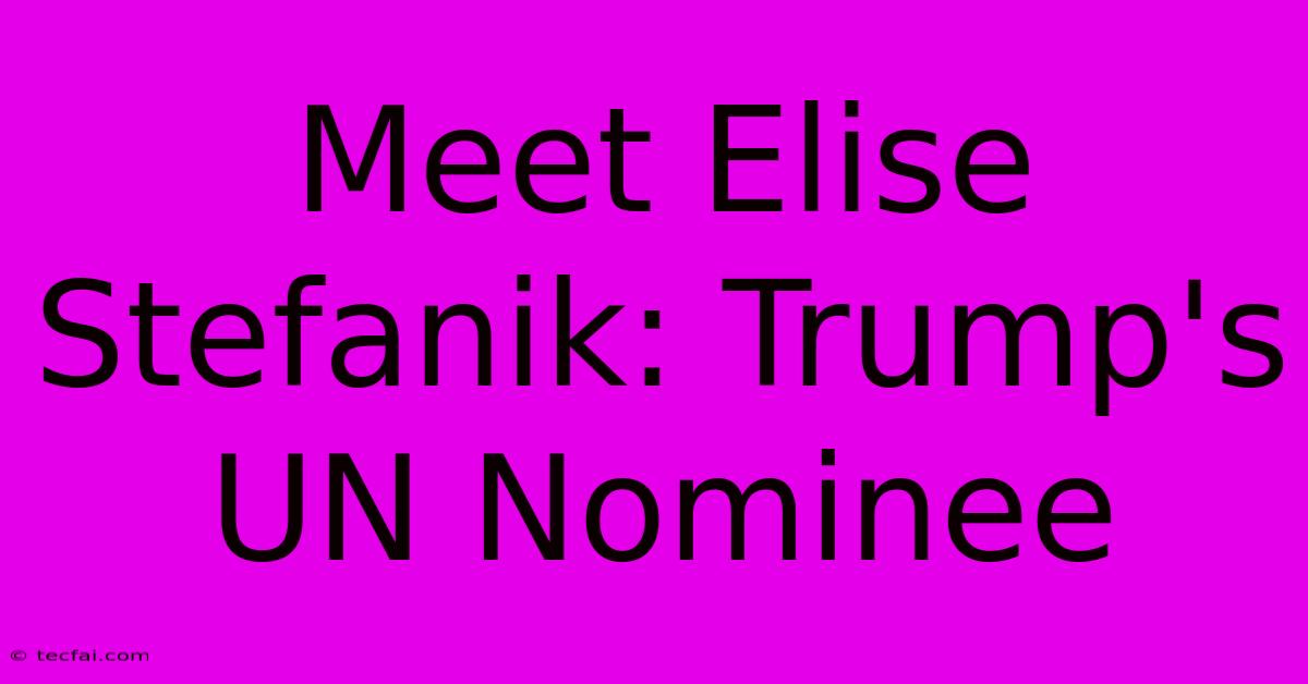 Meet Elise Stefanik: Trump's UN Nominee