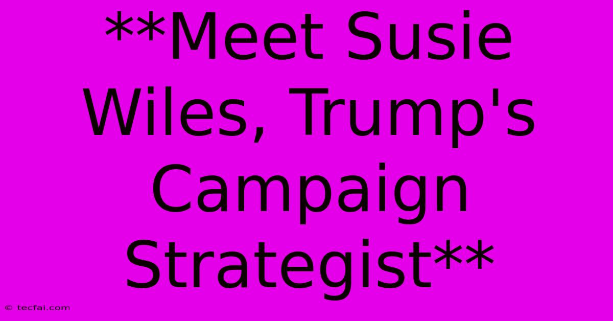 **Meet Susie Wiles, Trump's Campaign Strategist**