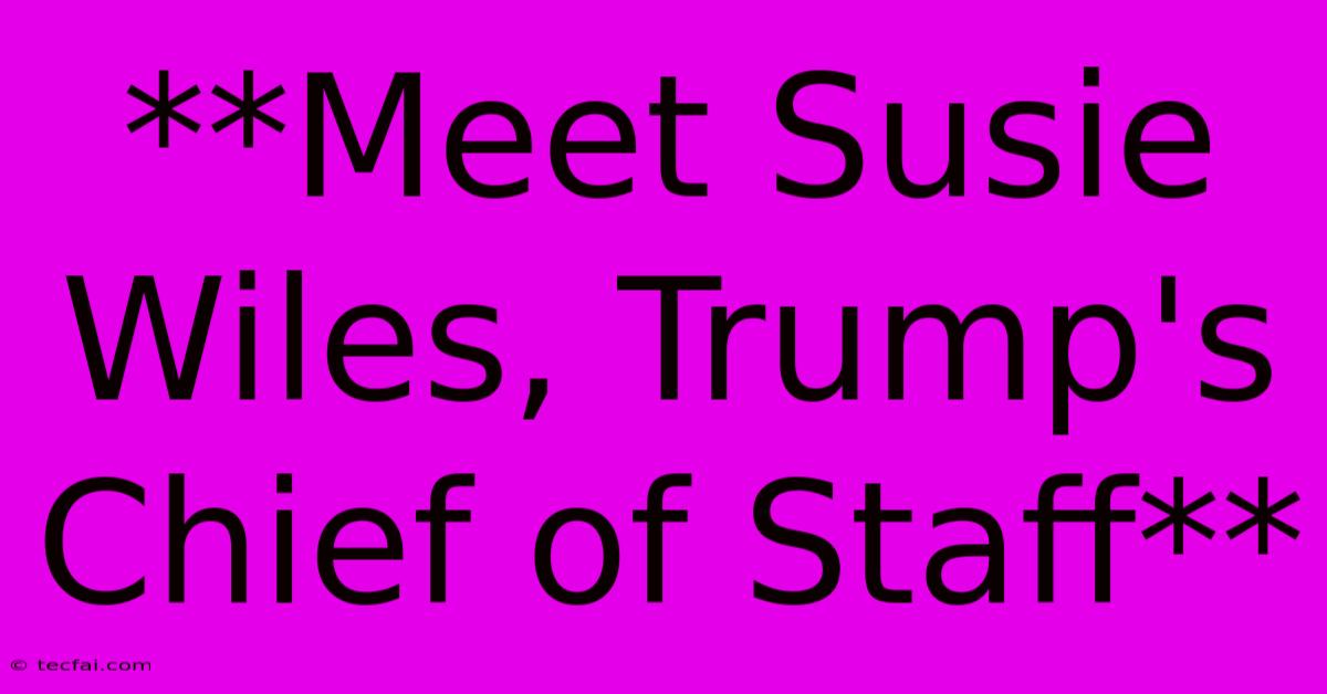 **Meet Susie Wiles: Trump's Chief Of Staff** 