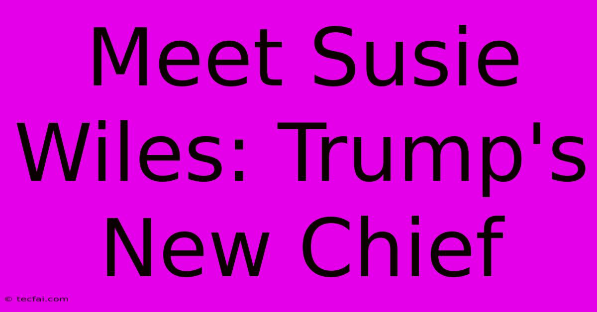 Meet Susie Wiles: Trump's New Chief