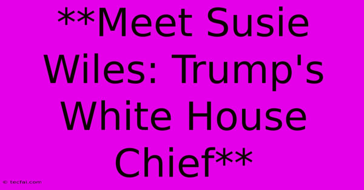 **Meet Susie Wiles: Trump's White House Chief**