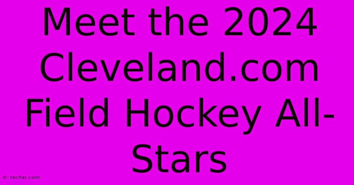 Meet The 2024 Cleveland.com Field Hockey All-Stars