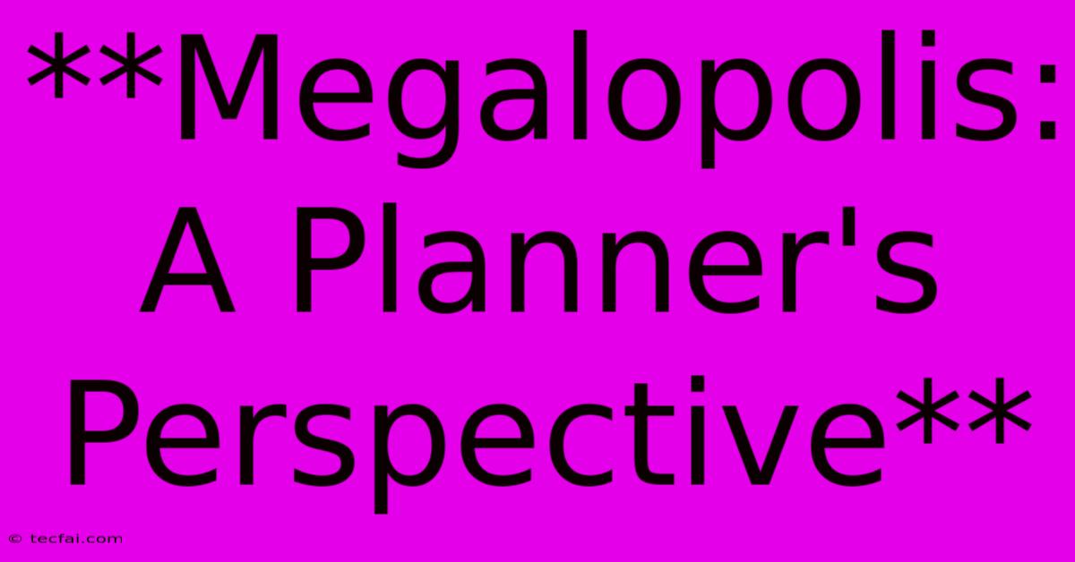 **Megalopolis: A Planner's Perspective**