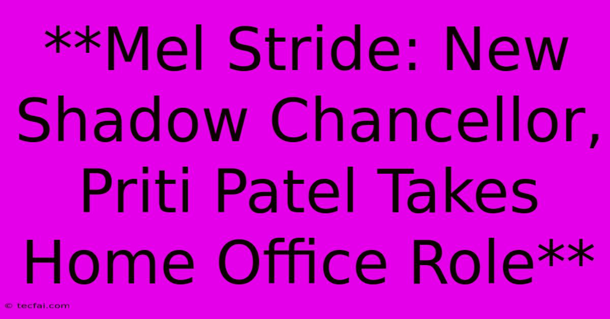 **Mel Stride: New Shadow Chancellor, Priti Patel Takes Home Office Role**