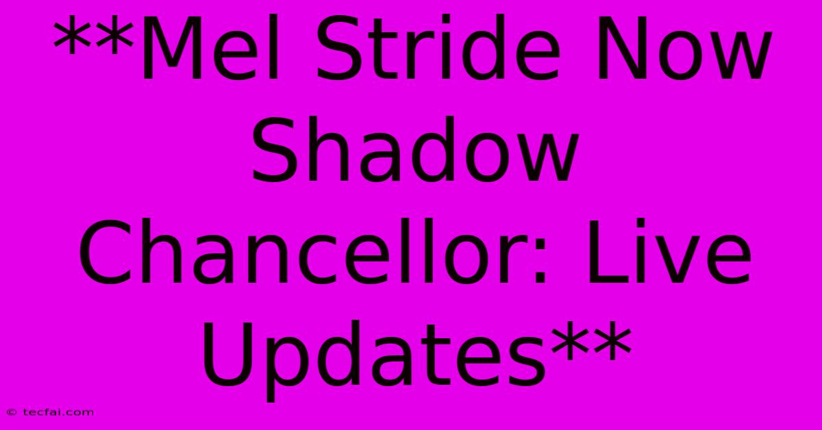 **Mel Stride Now Shadow Chancellor: Live Updates**