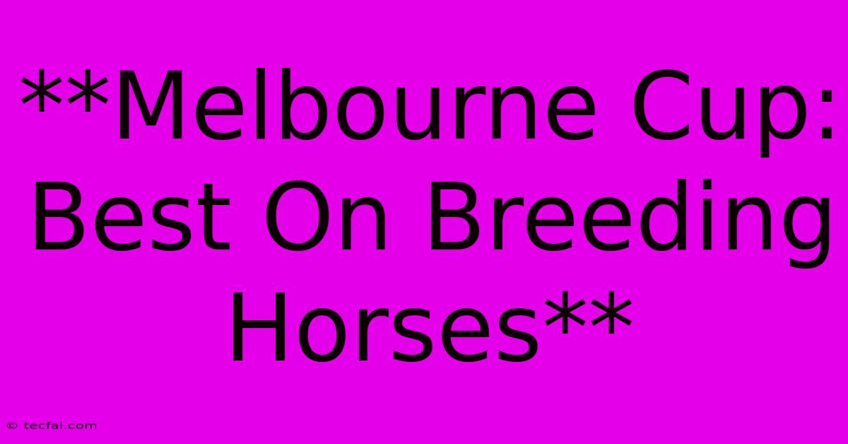 **Melbourne Cup: Best On Breeding Horses**