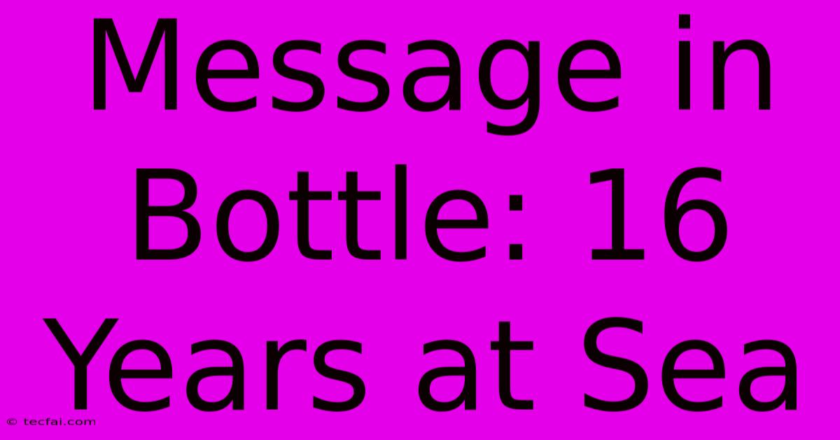 Message In Bottle: 16 Years At Sea