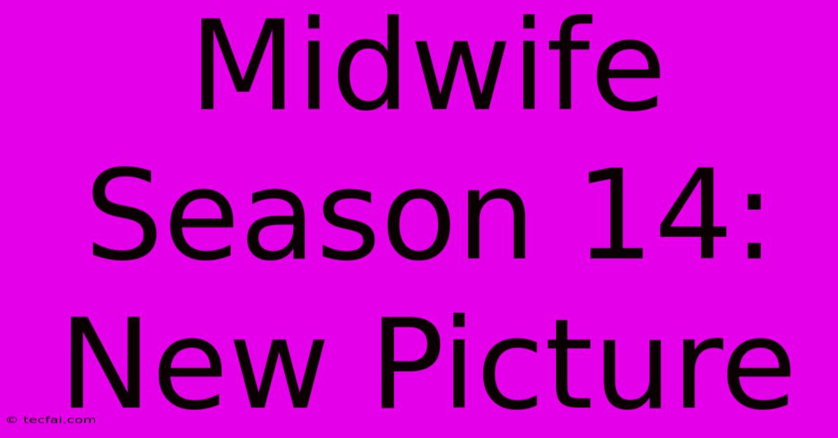 Midwife Season 14: New Picture