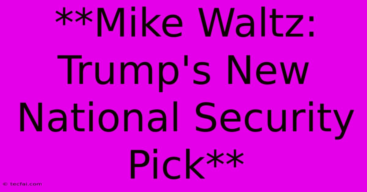 **Mike Waltz: Trump's New National Security Pick**