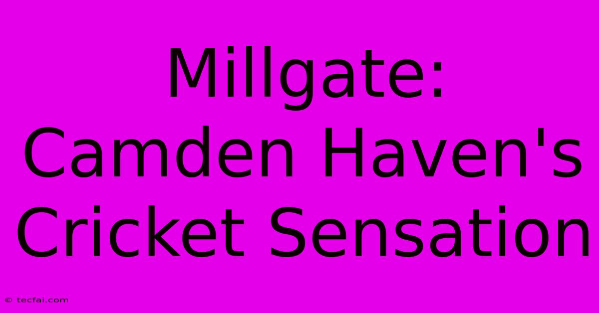 Millgate: Camden Haven's Cricket Sensation 