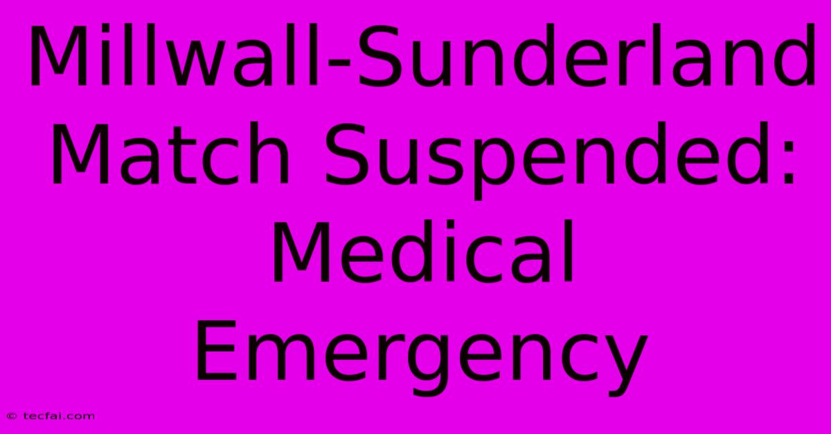 Millwall-Sunderland Match Suspended: Medical Emergency