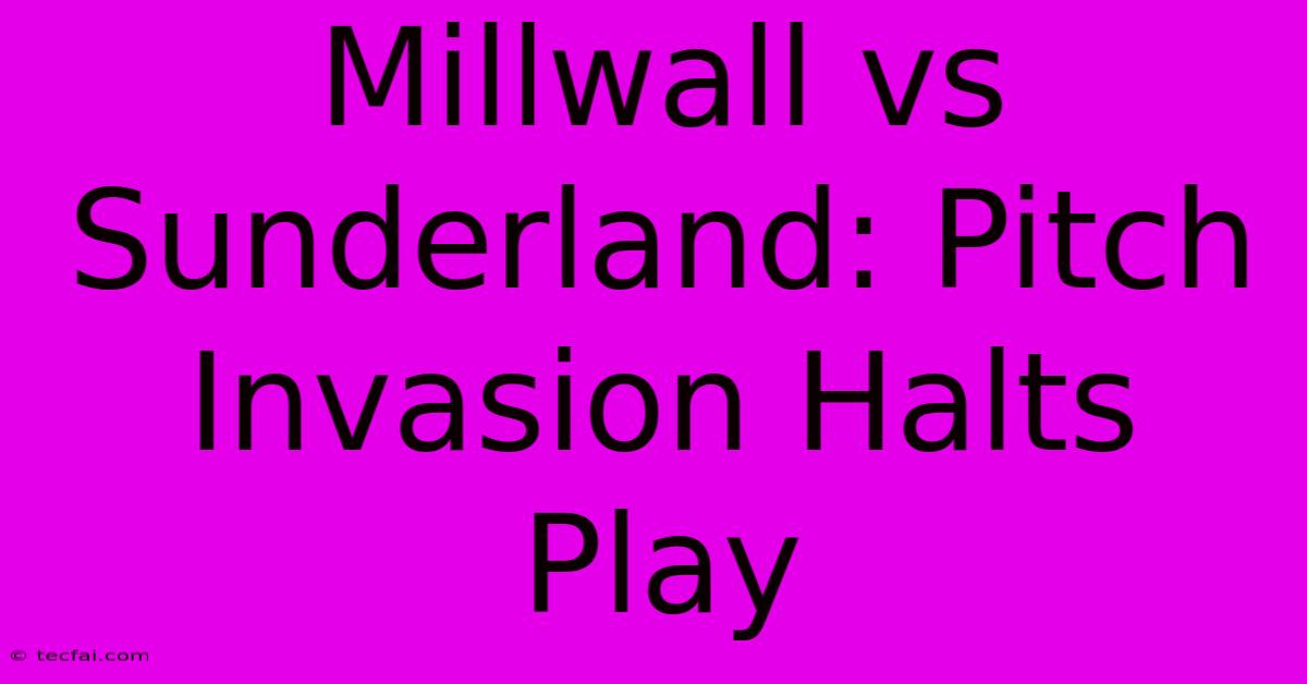 Millwall Vs Sunderland: Pitch Invasion Halts Play