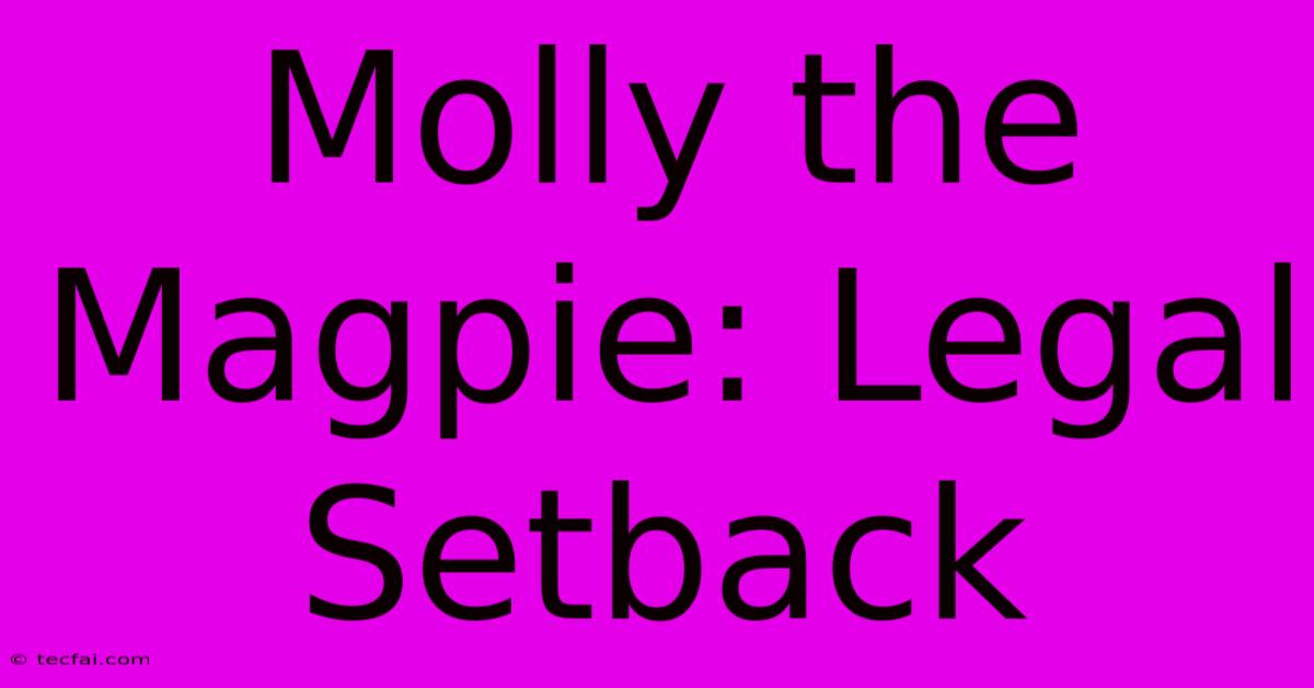 Molly The Magpie: Legal Setback