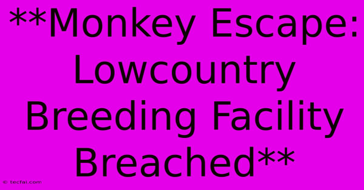 **Monkey Escape: Lowcountry Breeding Facility Breached**