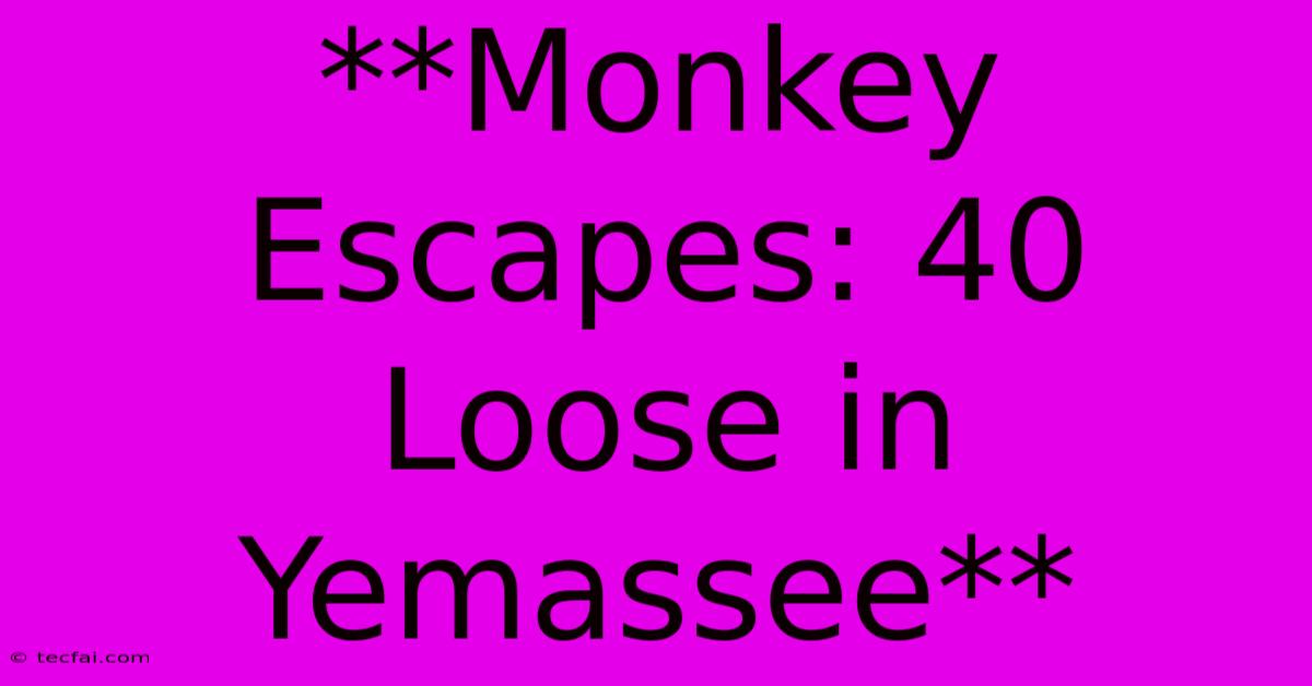 **Monkey Escapes: 40 Loose In Yemassee**