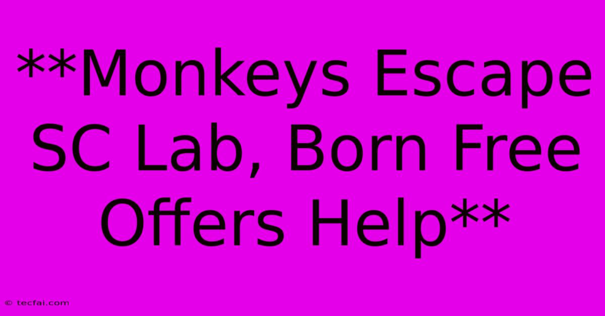 **Monkeys Escape SC Lab, Born Free Offers Help**