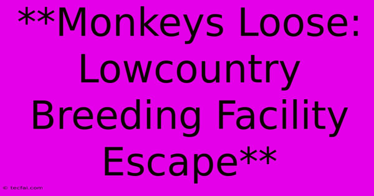 **Monkeys Loose: Lowcountry Breeding Facility Escape** 