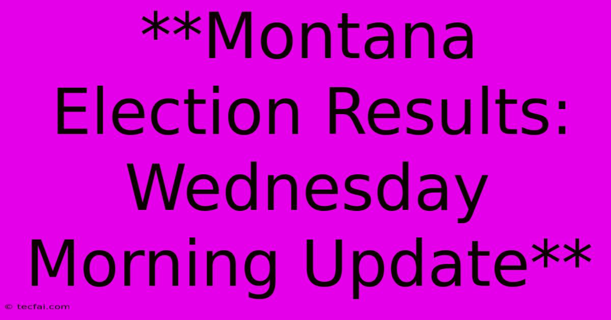 **Montana Election Results: Wednesday Morning Update**