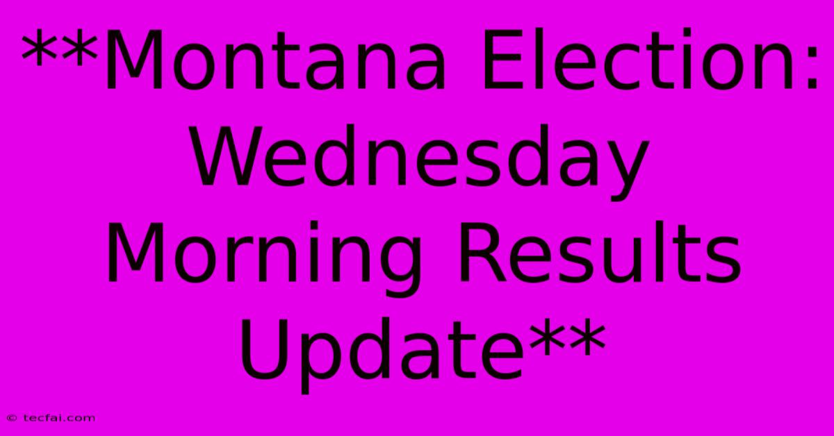 **Montana Election: Wednesday Morning Results Update**