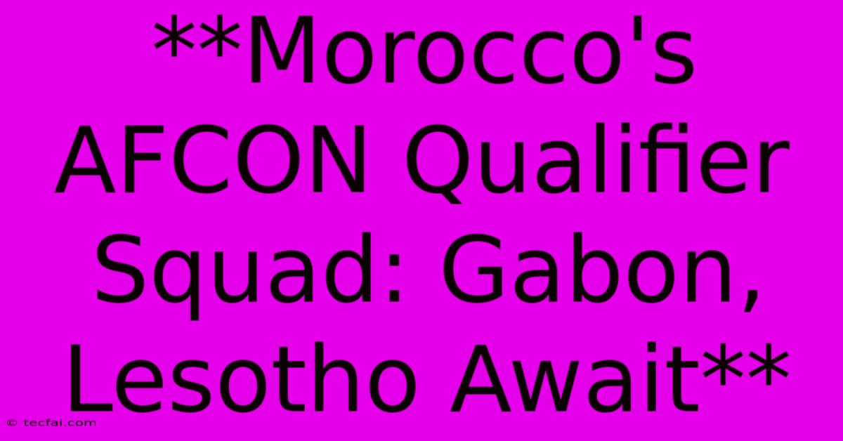 **Morocco's AFCON Qualifier Squad: Gabon, Lesotho Await**