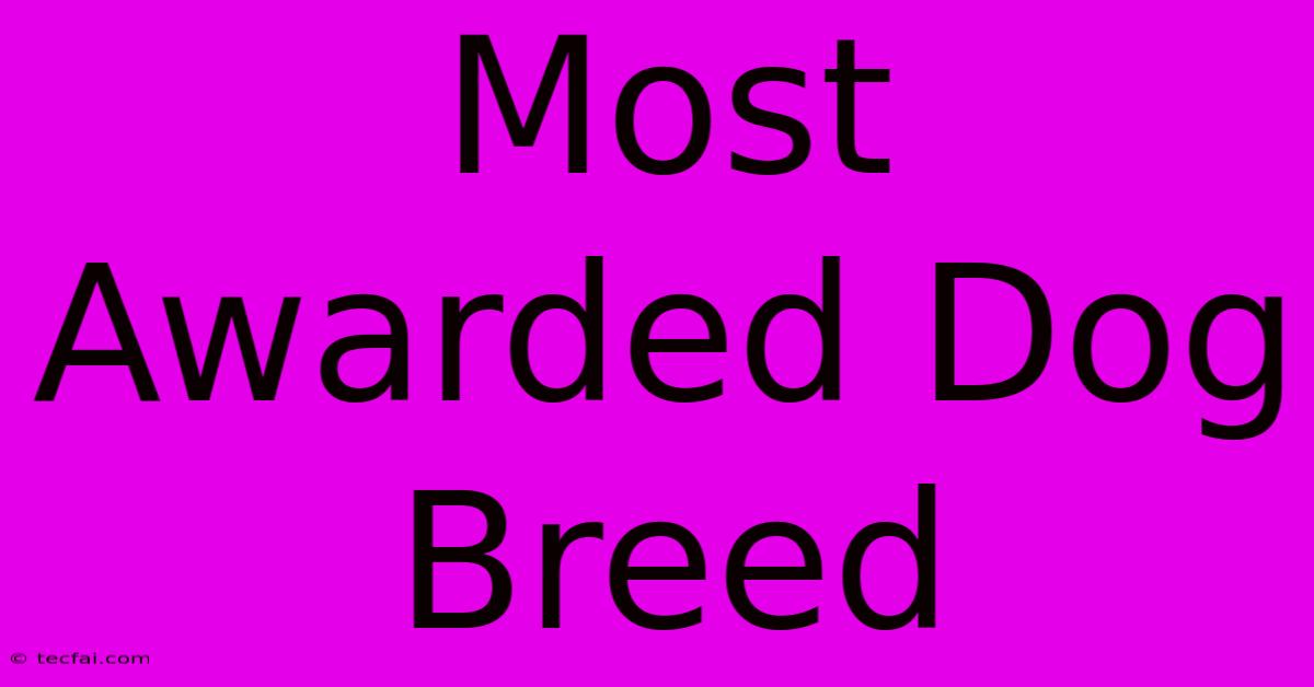 Most Awarded Dog Breed